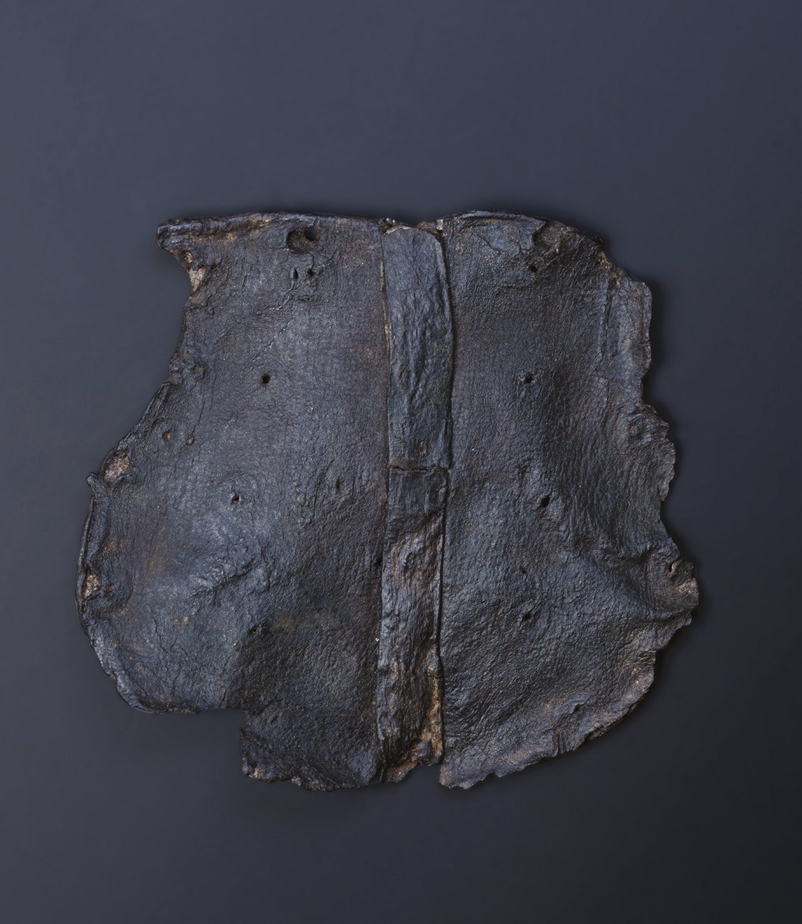 Tiszabezdéd-Harangláb-dűlő 8. sír börtarsoly